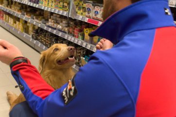 Akcja charytatywna na rzecz psów ratowniczych GOPR -„Przyjaźń Łączy – Wspólnie dla Zwierząt” bije kolejny rekord – zebrano 120 000 złotych!