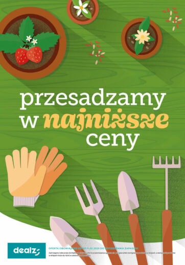 Przesadzamy w najniższe ceny!